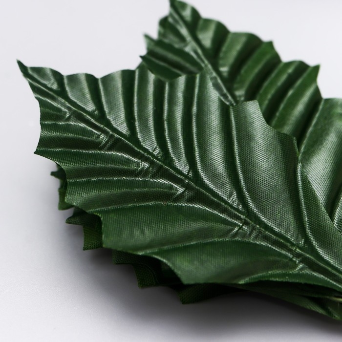 Декор для творчества Декор для творчества "Листья тёмно-зелёные " набор 10 шт 9х4,5 см