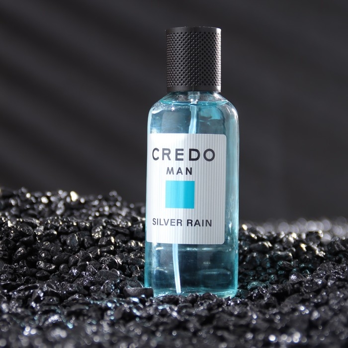 Туалетная вода мужская CREDO MAN Silver Rain, 100 мл (по мотивам Azzaro Chrome (Azzaro) Туалетная вода мужская CREDO MAN Silver Rain, 100 мл (по мотивам Azzaro Chrome (Azzaro)