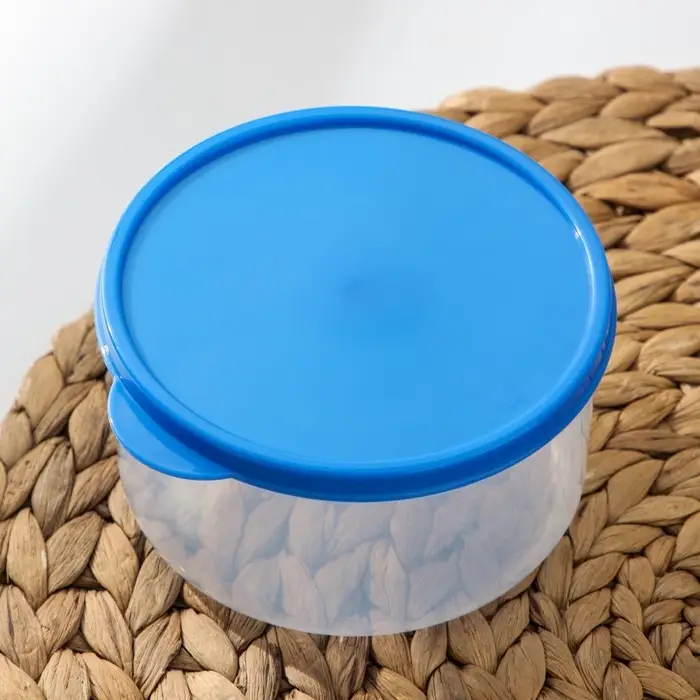Контейнер круглый Доляна, пищевой, 500 мл, прозрачный, крышка синяя Контейнер круглый Доляна, пищевой, 500 мл, прозрачный, крышка синяя
