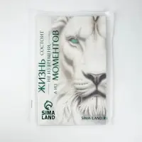 Пакет подарочный «Новогодняя сказка», с очками, 31 × 11 × 40 см Пакет подарочный «Новогодняя сказка», с очками, 31 × 11 × 40 см