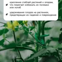 Скрепки садовые для подвязки растений, в наборе 50 шт., пластик, зелёные, Greengo