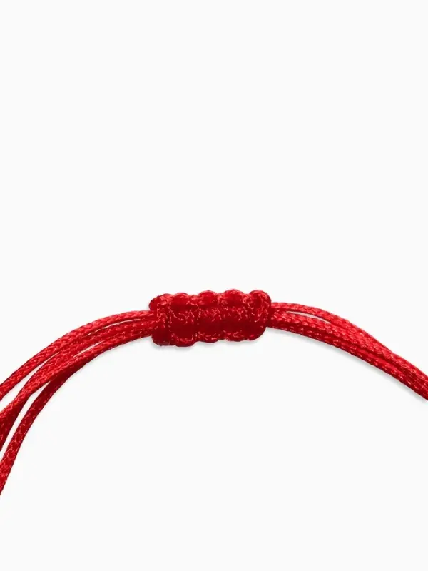 Браслет-оберег &laquo;Красная нить. Слон&raquo;, на счастье, цвет чернёное серебро, L=20 см