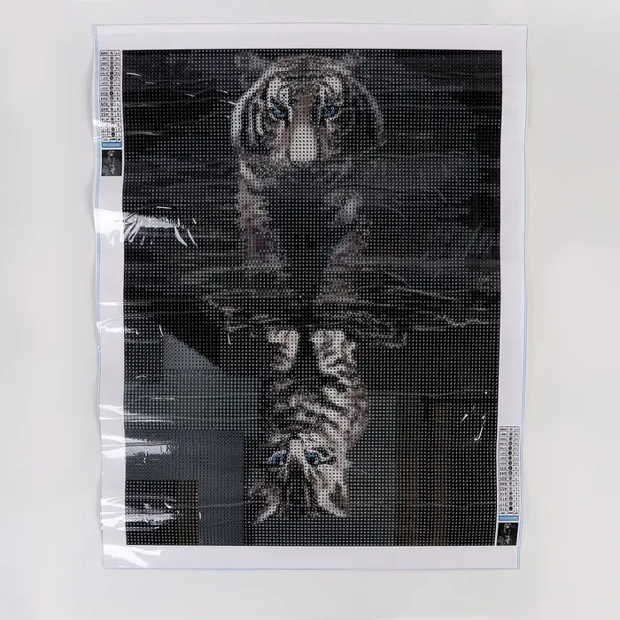 Алмазная вышивка полное заполнение "Отражение", 30*40 см, на холсте