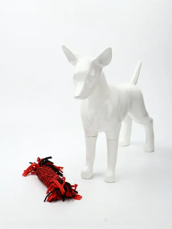 Игрушка для собак канатная &laquo;Конфета&raquo;, до 30 см, до 60 г