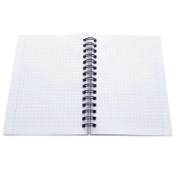 Блокнот 100х140мм 120л.клетка,спираль,Be Smart Notes черн,N3731