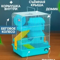 Клетка для грызунов &laquo;Пижон&raquo;, 31&times;24&times;40 см двухэтажная. с наполнением, голубая