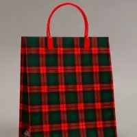 Пакет "Красно-зеленая клетка", мягкий пластик, 26 x 23 см, 110 мкм