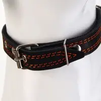 Ошейник кожаный усиленный капроном с полукольцом, 55&times;2.5 см, ОШ 27-53 см, чёрный