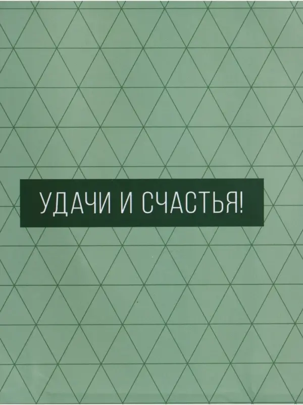 Пакет подарочный ламинированный &laquo;Минимализм в деталях&raquo;, травяной, 18&times;22.3&times;10 см