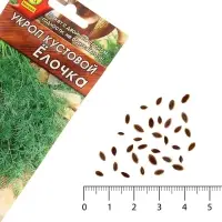 Семена Укроп "Елочка" кустовой, 3 г