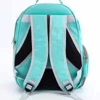 Рюкзак для переноски животных прозрачный, 31 х 28 х 42 см, бирюзовый Рюкзак для переноски животных прозрачный, 31 х 28 х 42 см, бирюзовый