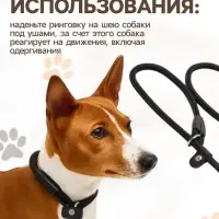 Ринговка для собак, 130&times;0.8 см, чёрная