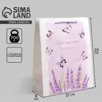 Пакет подарочный ламинированный, упаковка, Special for you, ML 21&times;25&times;8 см