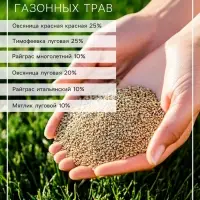 Газон универсальный &laquo;Зеленый квадрат&raquo;, 1 кг