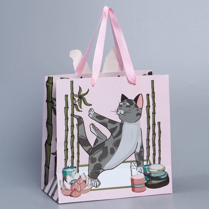 Пакет подарочный, упаковка, «Йога», 22 х 22 х 10 см Пакет подарочный, упаковка, «Йога», 22 х 22 х 10 см