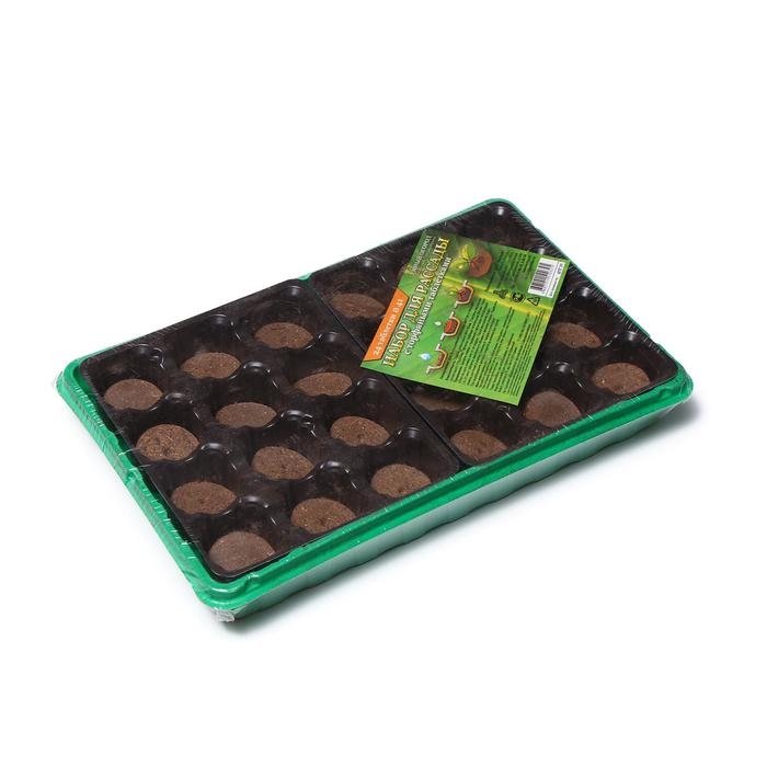 Набор для рассады: торфяная таблетка d = 4.1 см, 24 шт., кассета на 24 ячейки по 40 мл, поддон 35,5 × 22,5 см, зелёный, пластик, Экоторф