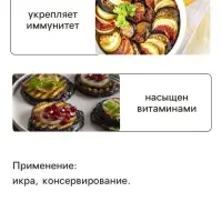 Семена Баклажан &laquo;Внучок&raquo;, 0.2 г, среднеспелый, грушевидный &laquo;Золотая Сотка Алтая&raquo;