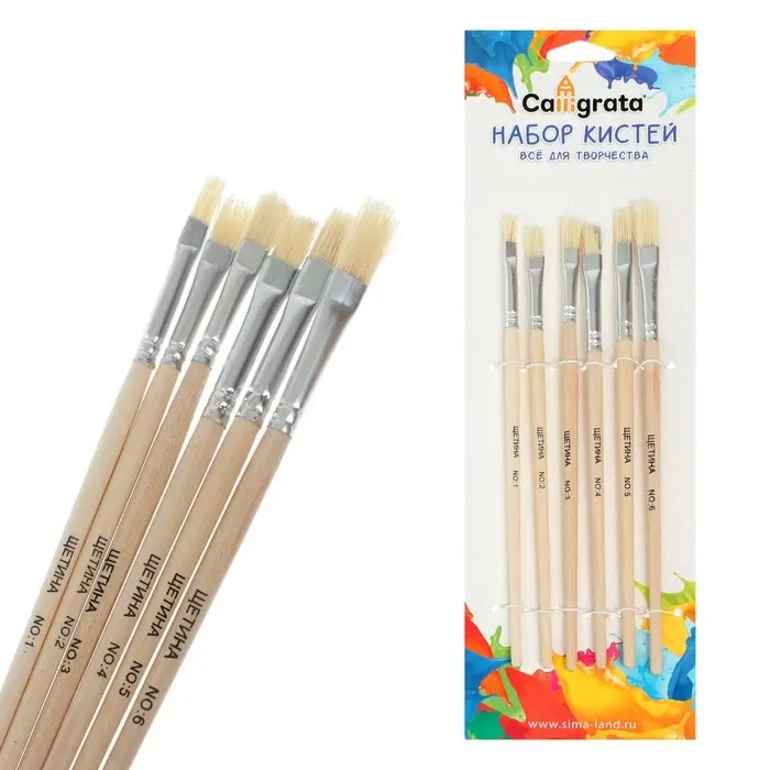 Набор кистей для рисования, щетина, 6 штук: № 1, 2, 3, 4, 5, 6, плоские, деревянная ручка, международный размер