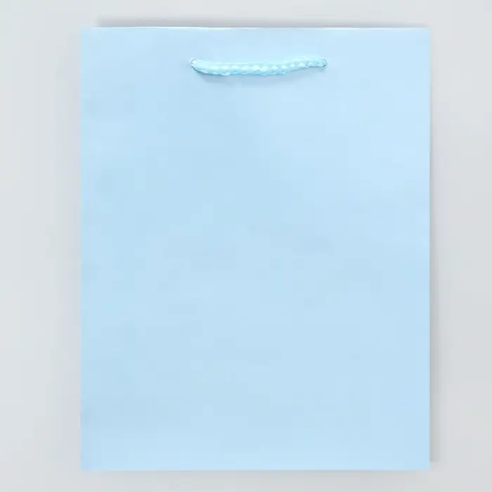 Пакет подарочный ламинированный, упаковка, «Голубой», MS 18 х 23 х 8 см