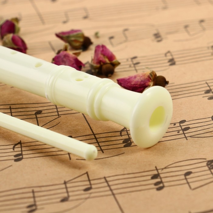 Блокфлейта Music Life, бежевая, немецкая система, сопрано, 30 см Блокфлейта Music Life, бежевая, немецкая система, сопрано, 30 см