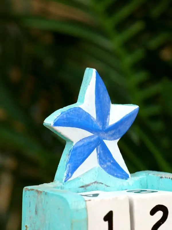 Календарь настольный «Морская звезда», 10.5×7.5×4 см, дерево