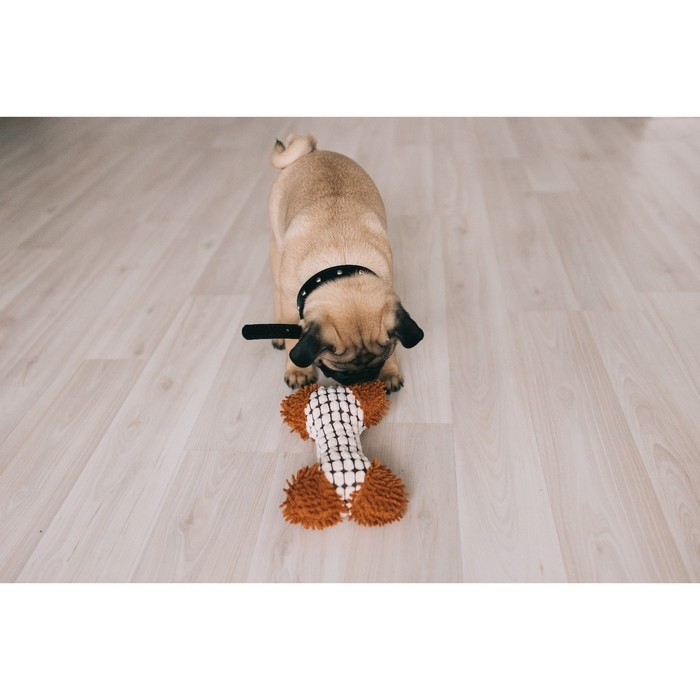 Игрушка мягкая для собак Игрушка мягкая для собак "Особая кость", двутканевая, с пищалкой, 20х12 см, бело-коричневая 708725