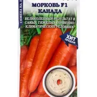Семена Морковь на ленте Канада /Сотка/ 6м/ среднепозд. 18-20см Bejo/*240 Семена Морковь на ленте Канада /Сотка/ 6м/ среднепозд. 18-20см Bejo/*240