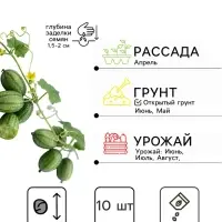 Семена Мелотрия шершавая &laquo;Полосатик&raquo;