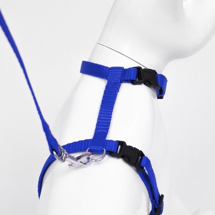 Комплект для кошек, ширина 1 см, ОШ 16,5-27 см, ОГ 21-35 см, поводок 120 см, синий