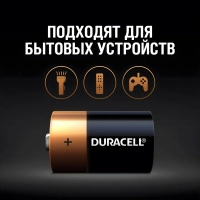 Батарейка DURACELL BASIC D/LR20-2BL