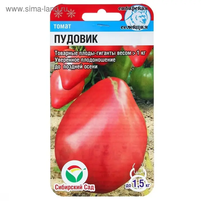 Семена Томат &laquo;Пудовик&raquo; среднеранний, детерминантный, высокорослый 20 шт., &laquo;Сибирский сад&raquo;