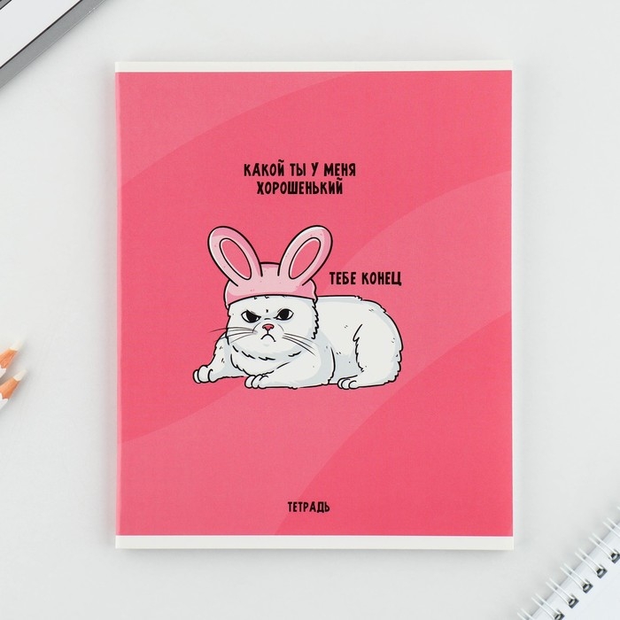 Тетрадь в клетку, 48 листов А5 на скрепке МИКС «1 сентября: Котики», обложка мелованный картон 230 гр внутренний блок №1, белизна 96% Тетрадь в клетку, 48 листов А5 на скрепке МИКС «1 сентября: Котики», обложка мелованный картон 230 гр внутренний блок №1, белизна 96%