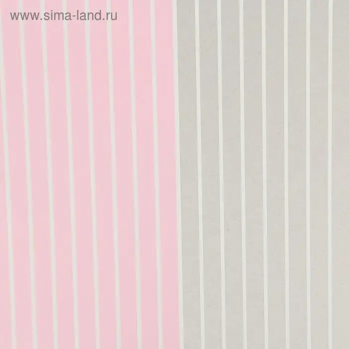 Пленка для цветов матовая Пленка для цветов матовая "Полосы", 58 х 58 см