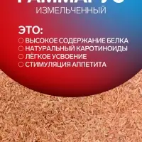 Корм для рыб и черепах &laquo;Пижон&raquo; гаммарус измельченный, 500 г