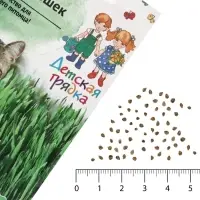 Семена Трава для кошек &laquo;Детская грядка&raquo;, смесь, 10 г, &laquo;Агросидстрейд&raquo;