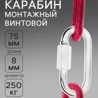 Карабин винтовой ТУНДРА krep, М8, оцинкованный, 1 шт.
