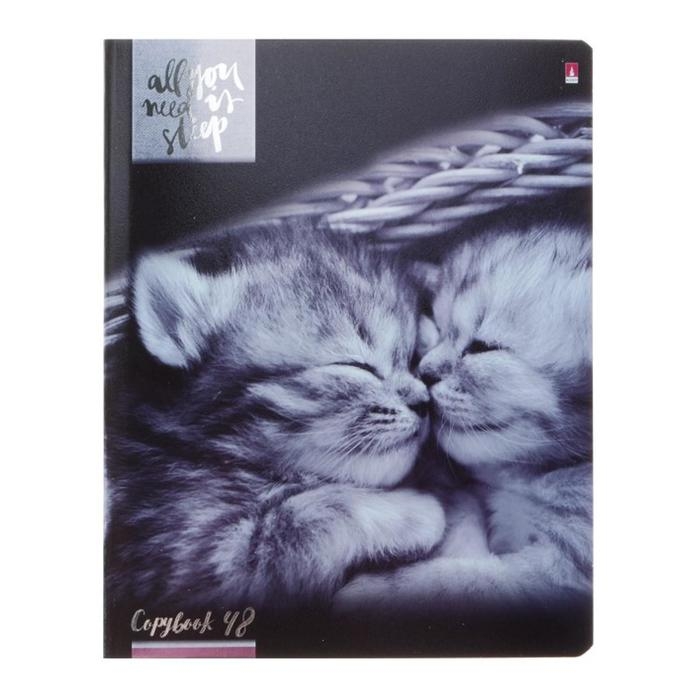 Тетрадь 48 листов в клетку "Котята мур-мур", обложка мелованный картон, гибридный лак, фольга, МИКС