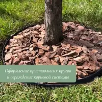 Лента бордюрная, 10 см&times;10 м, толщина 1 мм, пластиковая, коричневая, KANTA