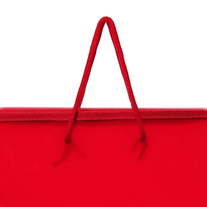 Папка с ручками А4, 325 х 240 х 25 мм, молния вокруг, пластиковая, Папка с ручками А4, 325 х 240 х 25 мм, молния вокруг, пластиковая, "Офис"