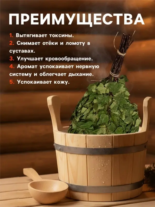 Веник для бани, берёзовый, в упаковке