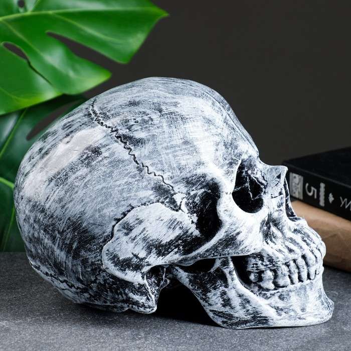 Копилка  Копилка "Череп" 16х13х22 см