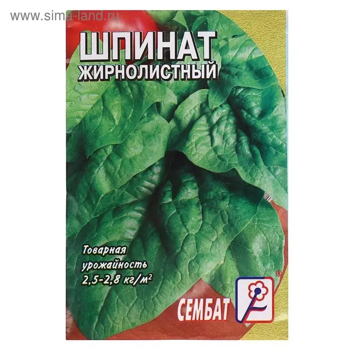 Семена шпинат  Семена шпинат "Жирнолистный", 3 г