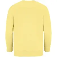 Свитшот детский Columbia Kids, светло-желтый, на рост 96-104