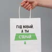 Пакет подарочный, крафтовый &laquo;Новогодний&raquo;, 22&times;25&times;12 см