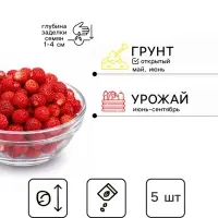 Семена Земляника ремонтантная &laquo;Медовое лето&raquo;, 5 шт., ранняя, &laquo;Сибирский сад&raquo;