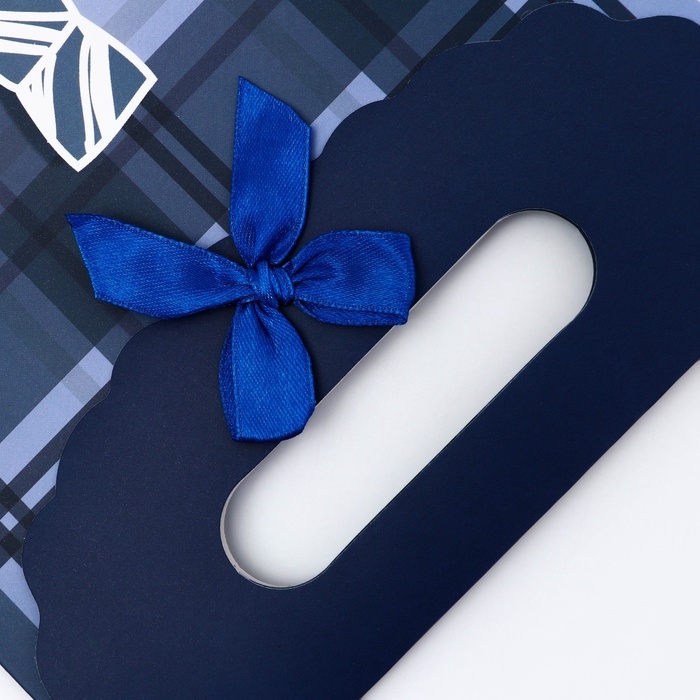 Подарочная коробка-пакет, упаковка с вырубной ручкой, Подарочная коробка-пакет, упаковка с вырубной ручкой, "Мужской галстук" , 19 х 9 х 27 см