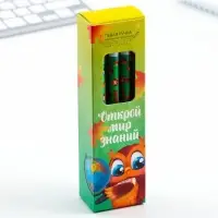 Ручка пиши-стирай, синяя паста, гелевая, 0.5 мм с колпачком «Открой мир знаний»