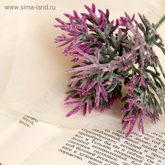 Букет искусственный «Двухцветная травка», с напылением, 18 см, МИКС Букет искусственный «Двухцветная травка», с напылением, 18 см, МИКС