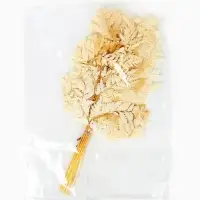 Сухоцвет Папоротник МИКС, 10 шт в упаковке