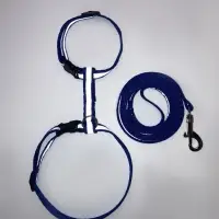 Комплект для кошек, шлейка 21-35 см, ширина 1 см, поводок 120 см, светоотражающий, синий